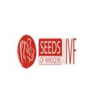 seeds innocens Profile Picture