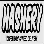 HasheryNJ220 Profile Picture
