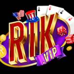 rikvipart Profile Picture
