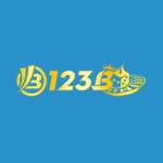 123b properties Profile Picture