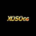 XO66ox net Profile Picture