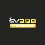 SV388 b buzz Profile Picture