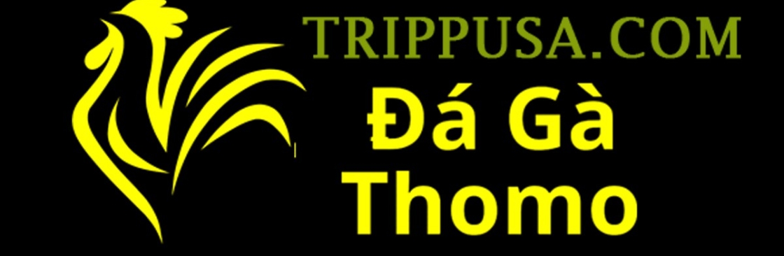Đá Gà Trực Tiếp Thomo Cover Image