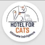 Hotel for Cats Profile Picture
