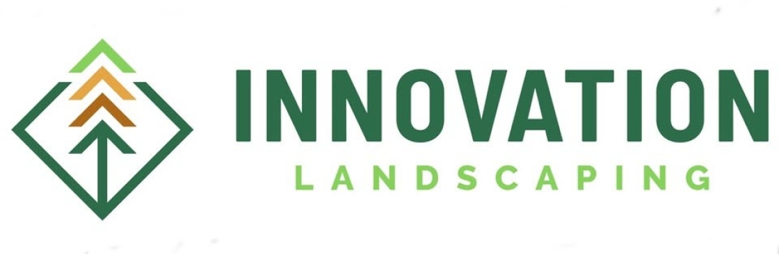 Innovation Landscaping Cover Image