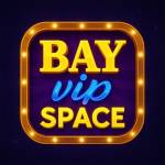 Bayvip space Profile Picture