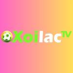 xoilactviicc gia mao Profile Picture