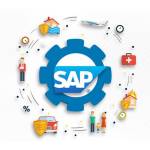 Techcarvings SAP Consulting service Profile Picture