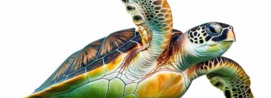 K Honu Cover Image