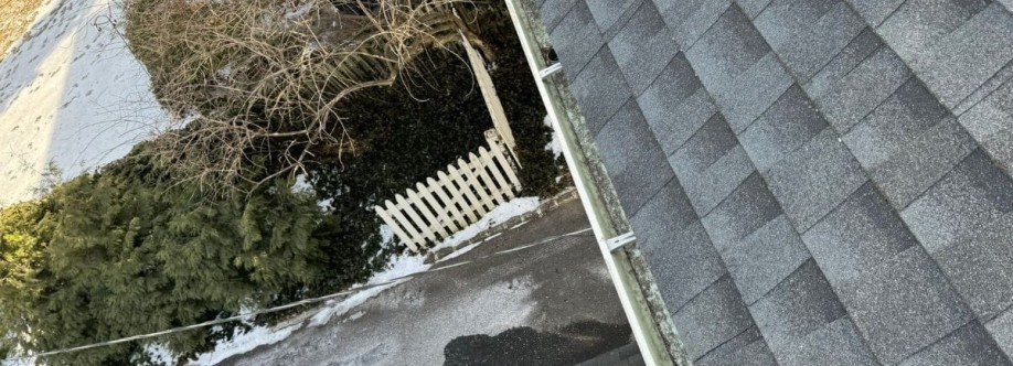 Stern Gutters Cover Image