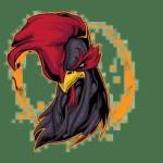 dagachoic1 Profile Picture
