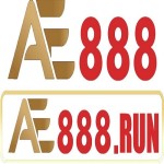 ae888 run Profile Picture