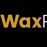 wax paper_uk Profile Picture