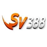 Mitossv388 net Profile Picture