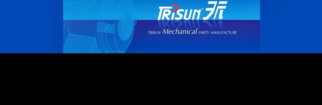 Trisun Ltd Cover Image