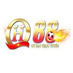 QH88beting me Profile Picture