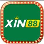 Xin 88 Profile Picture
