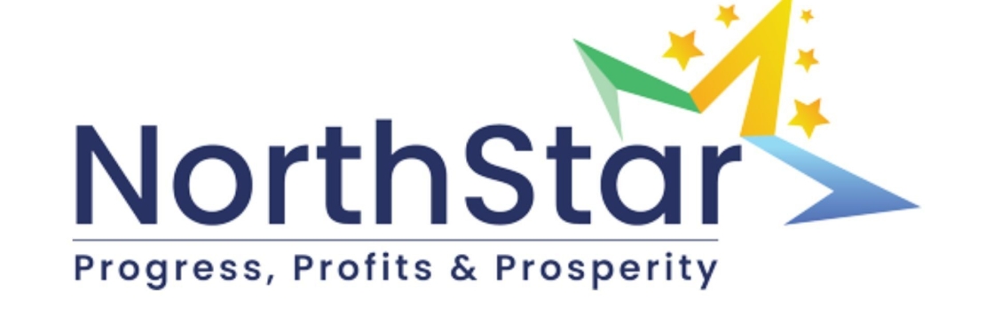 North Star Global Cover Image