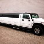 Limos Charleston Profile Picture