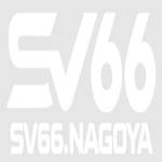 SV66 Profile Picture