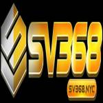 sv368 nyc Profile Picture