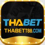 THABET San choi Profile Picture