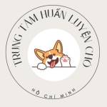 Trung Tam Huan Luyen Cho Quan 1 Profile Picture