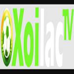 xoilactvnvz cc die web Profile Picture