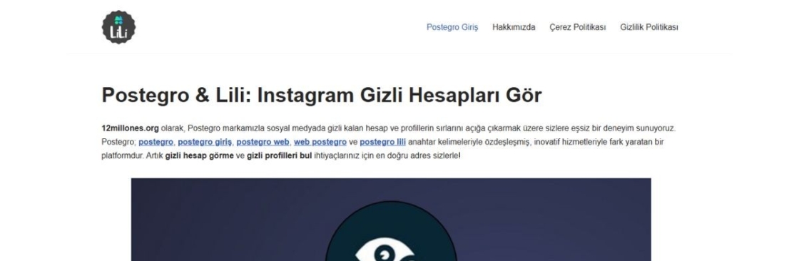 gizli instagram profili görme Cover Image