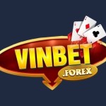 vinbetforex Profile Picture