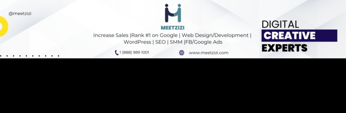 Meet zizi Cover Image