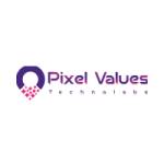 Pixel Values Technolabs Profile Picture