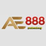 AE888 Profile Picture