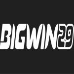 bigwin 29 Profile Picture