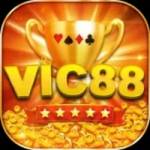Vin 88 Profile Picture