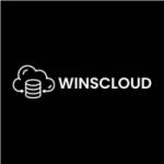 Winscloud Matrix LLC Profile Picture