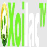 xoilactvnvn cc  die web Profile Picture