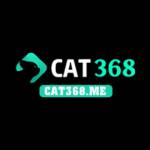 Cat368 me Profile Picture