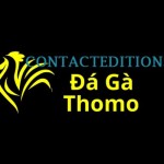 Đá Gà Trực Tiếp Thomo Profile Picture
