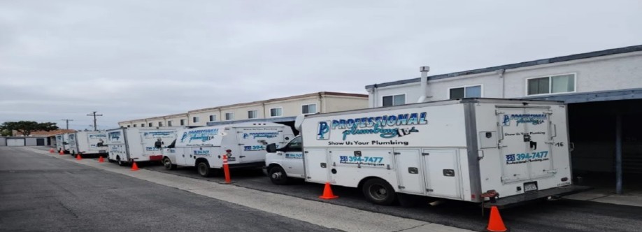 Professional Plumbing Inc Cover Image
