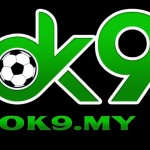 ok9 Cổng game đổi thưởng đáng tin cậy Profile Picture