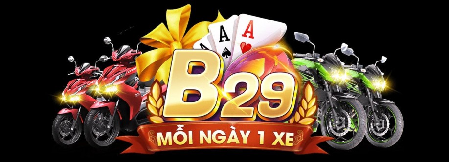 B29 Cover Image